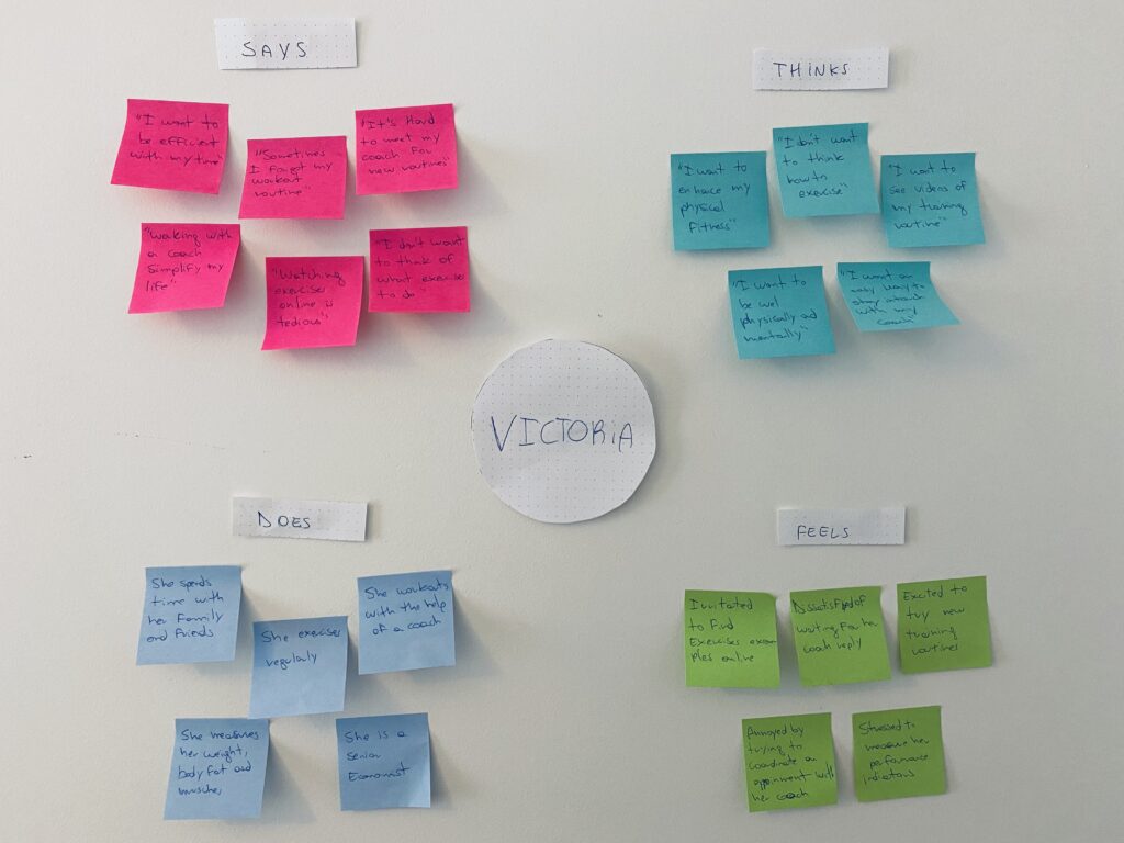 Fitsync empathy map